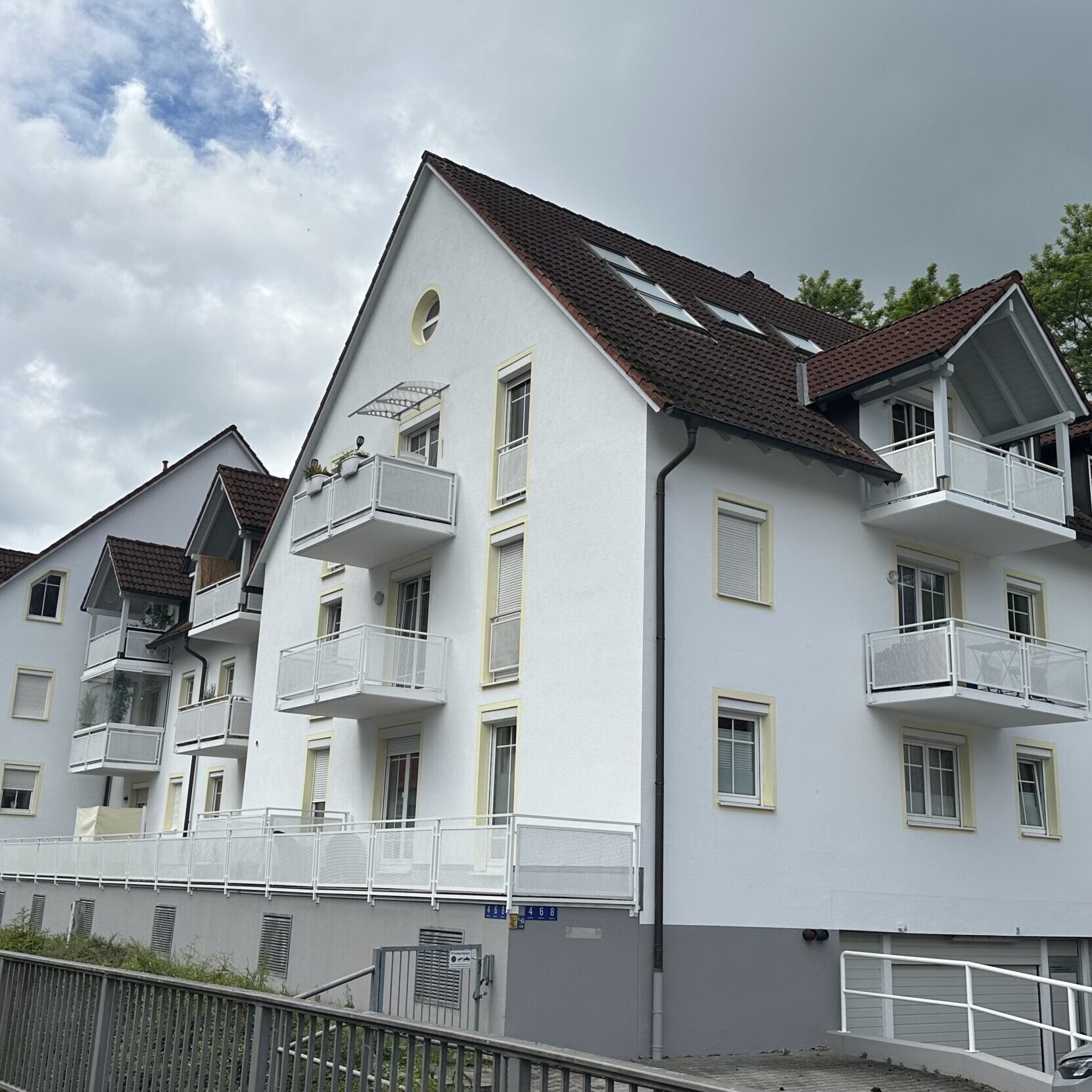 Fassadenarbeiten am Herrenweiher