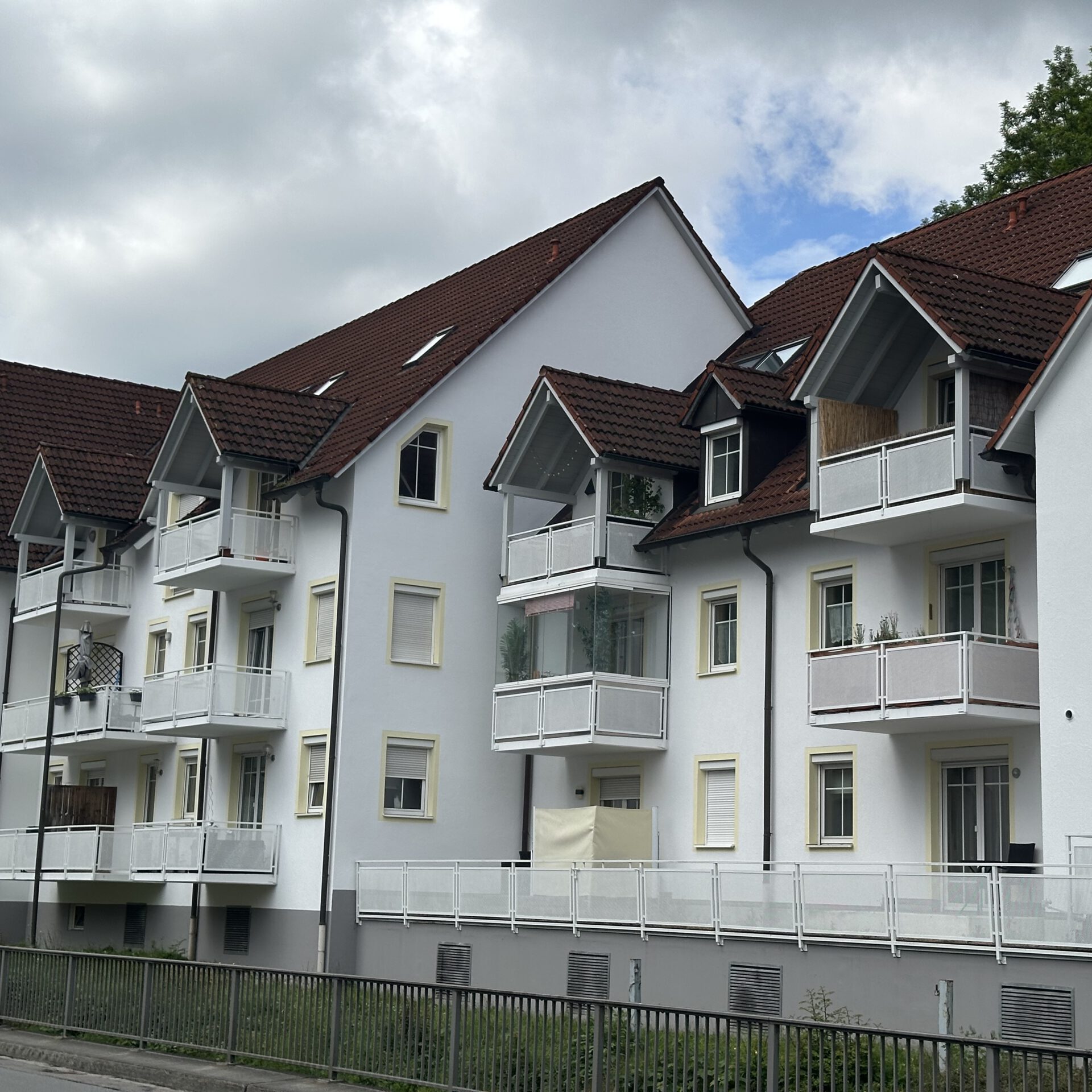 Fassadenarbeiten am Herrenweiher