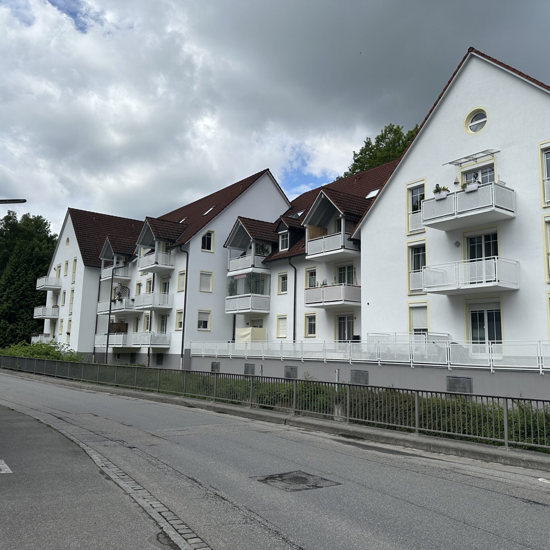 Fassadenarbeiten am Herrenweiher